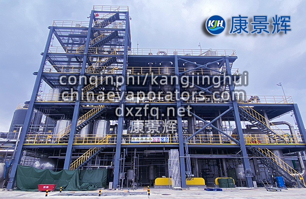 處理量29t/h硫酸鈉、硫酸銨預處理+蒸發分鹽+母液干化系統