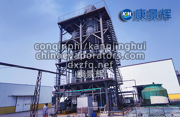 氯化鈉MVR強制循環蒸發器